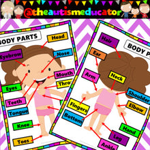 Load image into Gallery viewer, Body Parts Interactive Activities Flashcards Labelling
